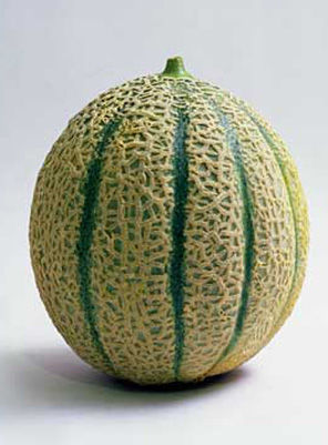 PEPONIDE