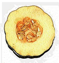 PEPONIDE